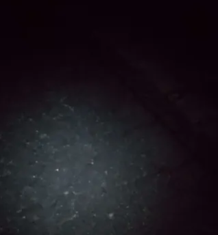 あああううあ